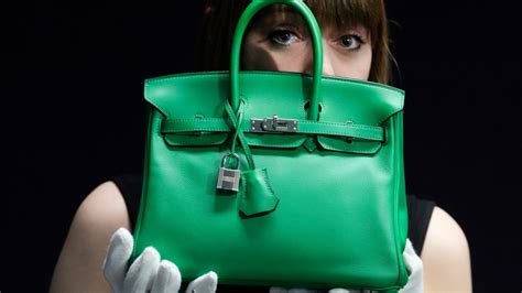 hermes birkin class action lawsuit|Hermes sued over Birkin bags.